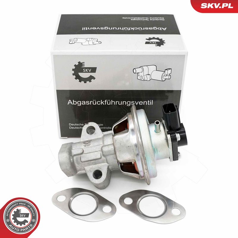 EGR-klapp, ESEN SKV 14SKV262