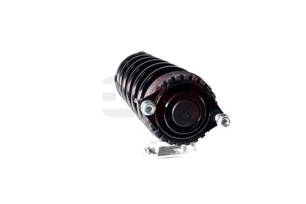 Vedruamort, GH GH-334401C01