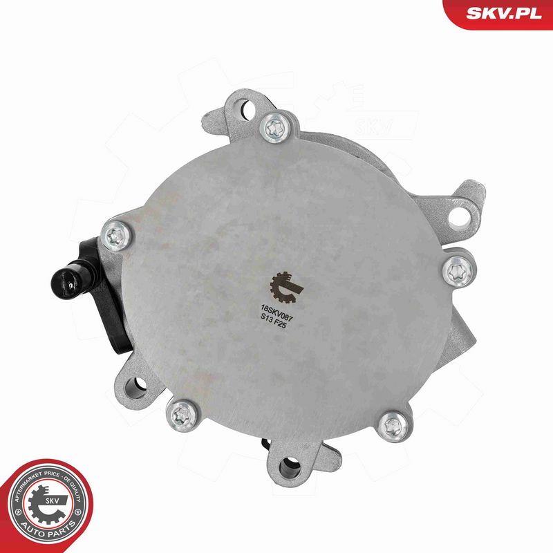 ESEN SKV 18SKV087 Vacuum Pump, braking system