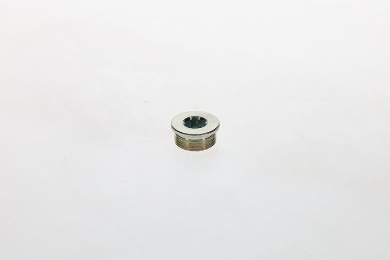 Surub 1 423 462 099 BOSCH