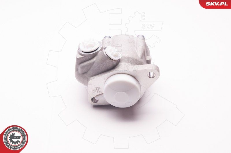ESEN SKV 1SKV0012 Hydraulic Pump, steering