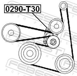 FEBEST 0290-T30 Belt Tensioner, V-ribbed belt