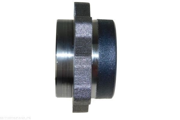 AUTOMEGA 110014210 Wheel Bearing Kit