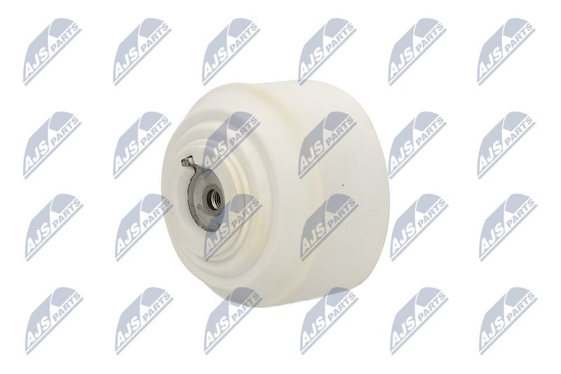 Paigutus, Mootor, NTY ZPS-ME-103