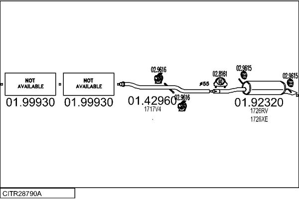 CITR28790A.JPG