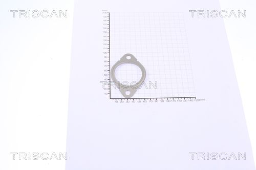 TRIS881399126_2.JPG