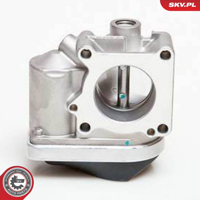 ESEN SKV 12SKV030 Throttle Body