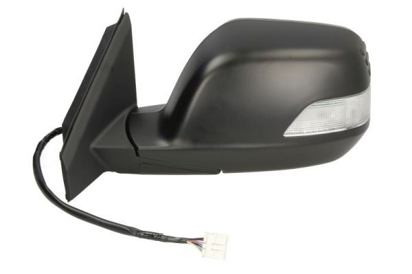 BLIC 5402-12-2001343P Exterior Mirror