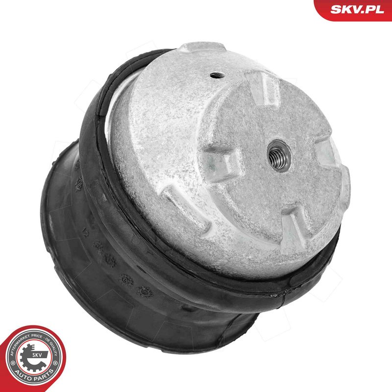 Paigutus, Mootor, ESEN SKV 75SKV168