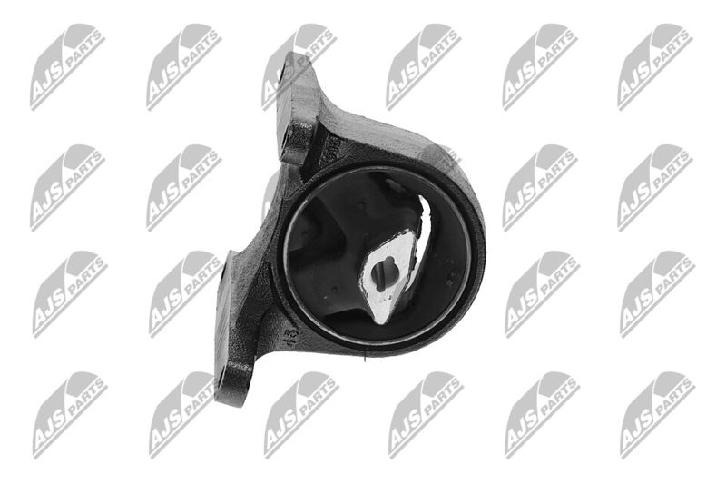 Paigutus, Mootor, NTY ZPS-CH-008