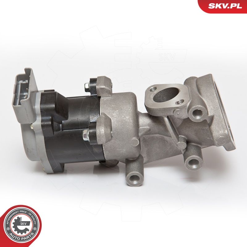 EGR-klapp, ESEN SKV 14SKV073