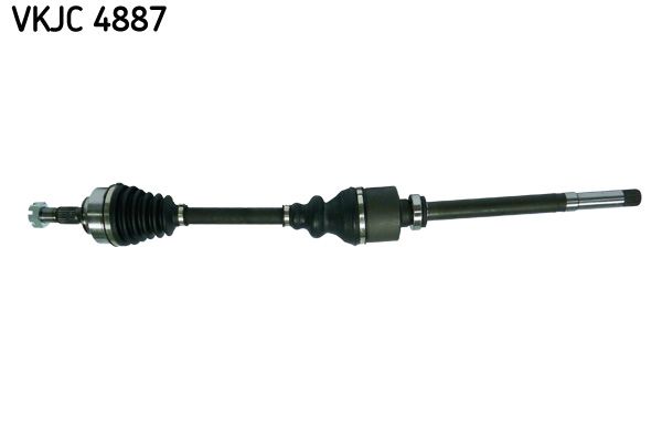VKJC 4887.JPG