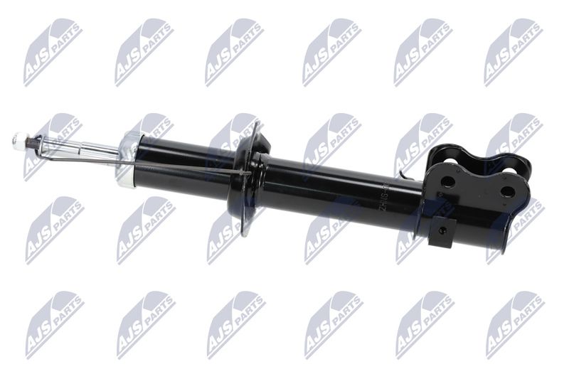 Amort, NTY A-NS-009