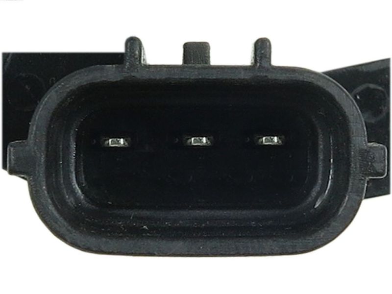 95600.JPG