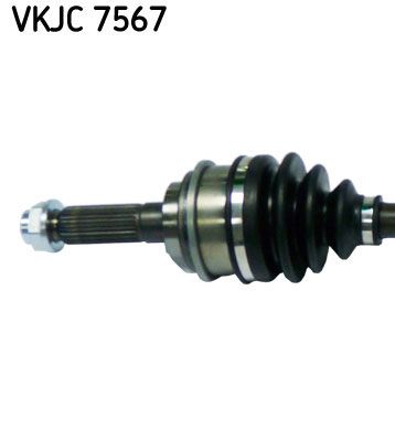 VKJC 7567_2.JPG