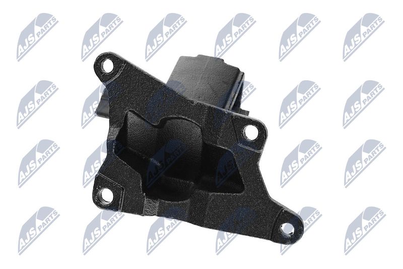 Paigutus, Mootor, NTY ZPS-CH-030