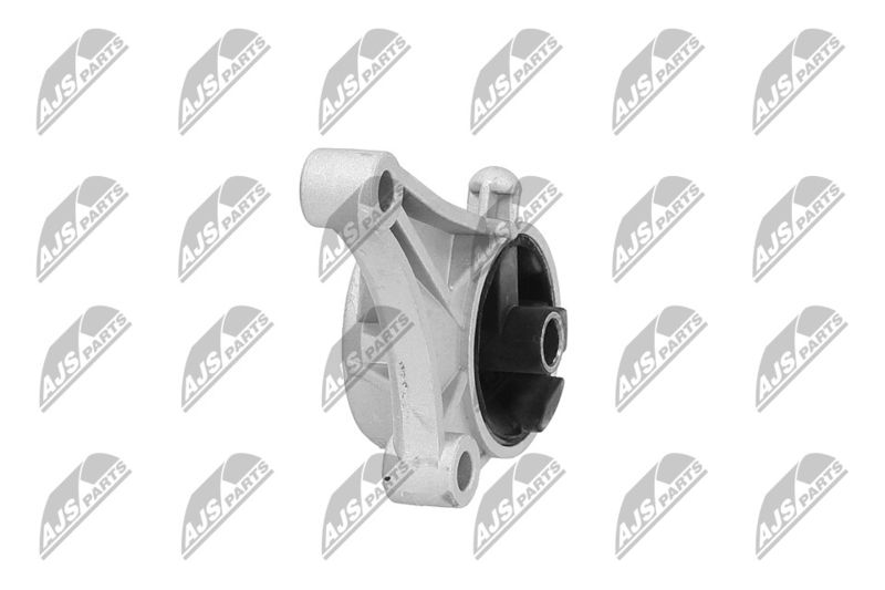 Paigutus, Mootor, NTY ZPS-PL-015