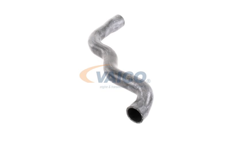 VAICO V30-2915 Radiator Hose