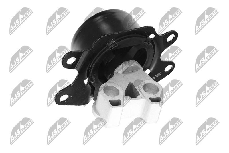Paigutus, Mootor, NTY ZPS-PL-053