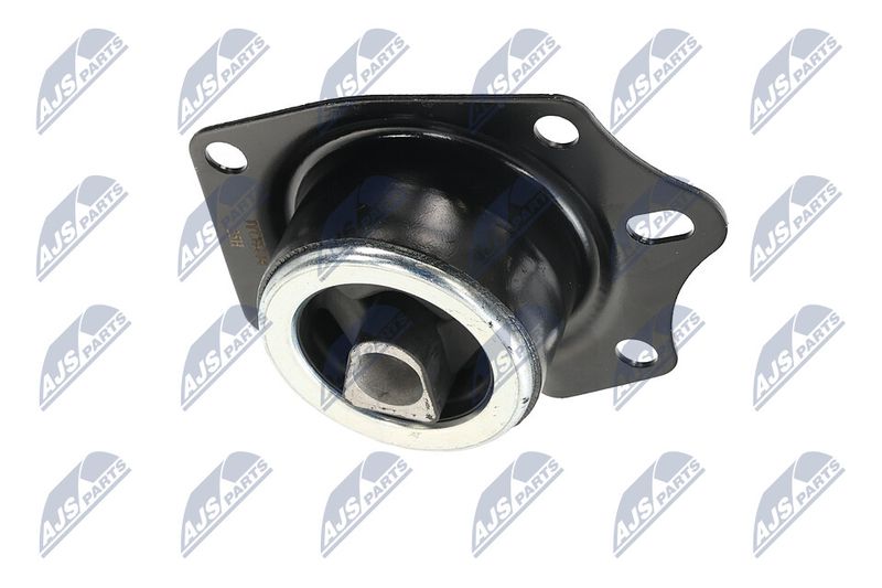 Paigutus, Mootor, NTY ZPS-CH-014