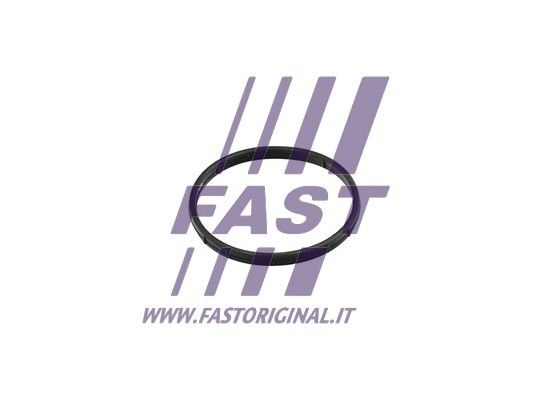 FT50602_1_1.JPG
