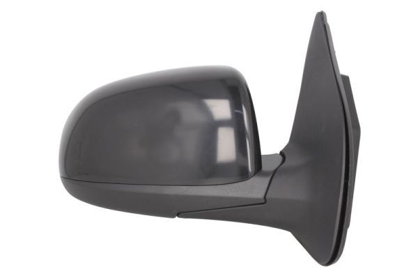 BLIC 5402-20-2001396P Exterior Mirror