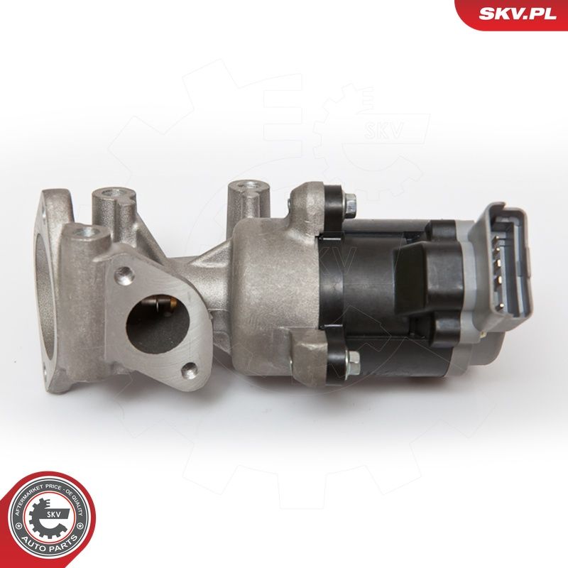 EGR-klapp, ESEN SKV 14SKV066