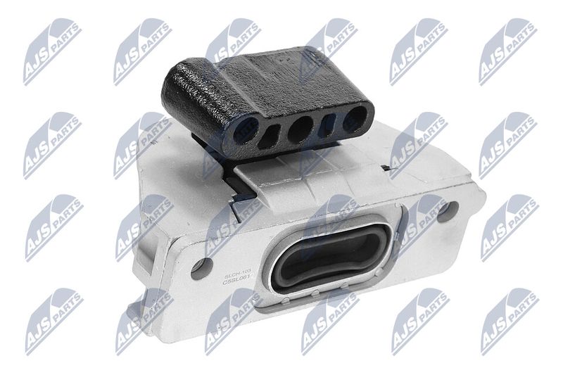 Paigutus, Mootor, NTY ZPS-CH-103