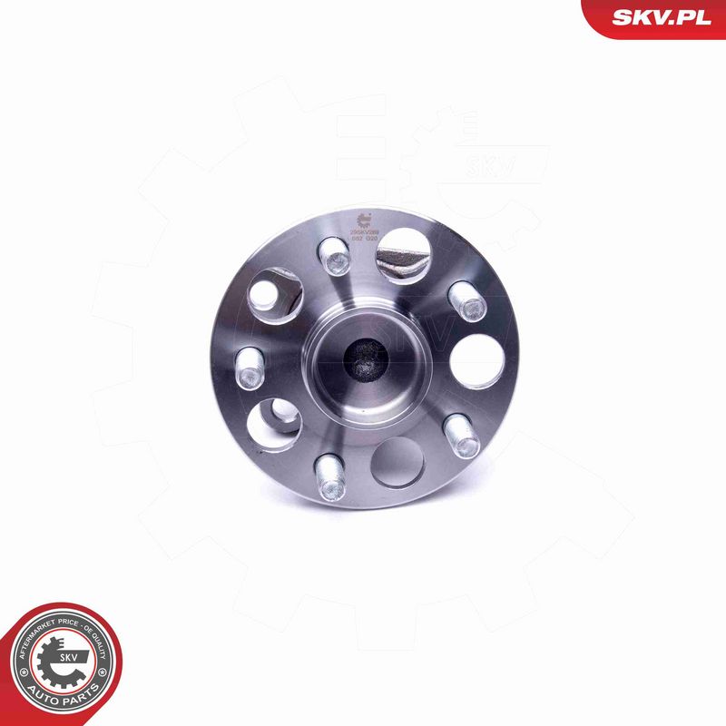 ESEN SKV 29SKV289 Wheel Bearing Kit