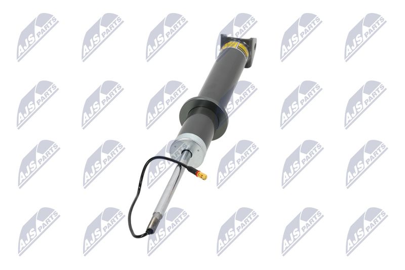 Amort, NTY A-PS-013