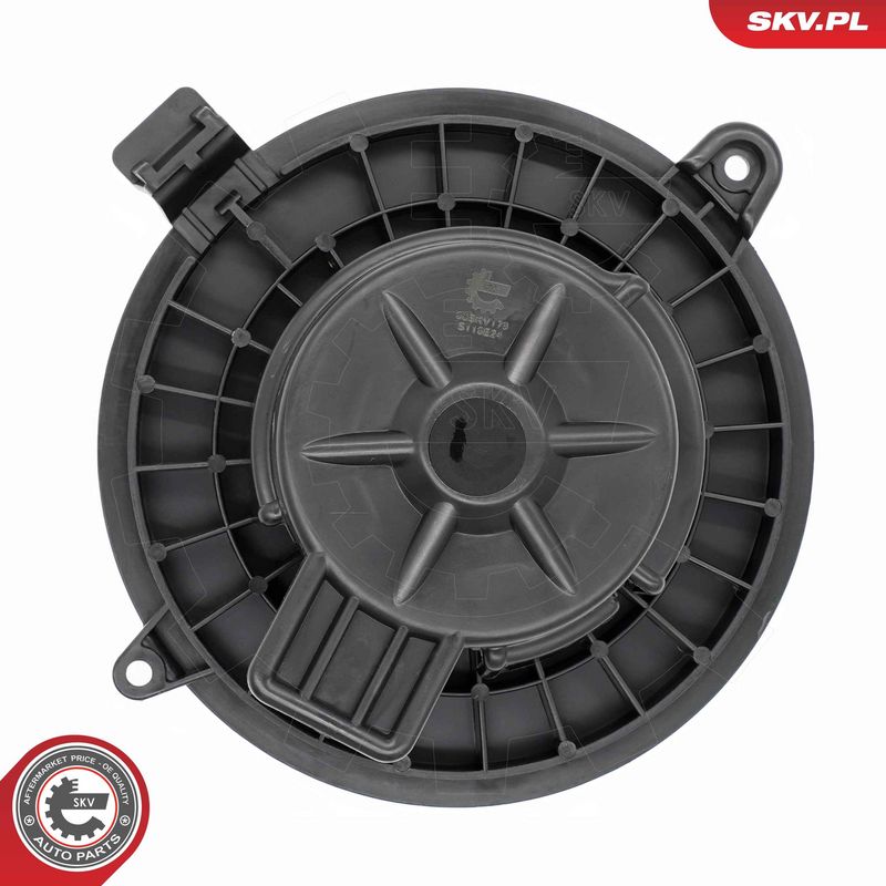 Salongipuhur, ESEN SKV...