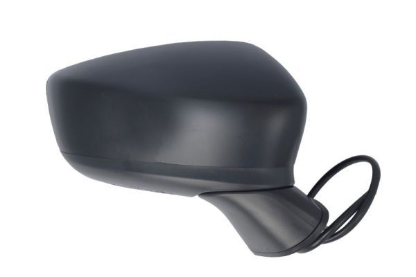 BLIC 5402-14-0741311P Exterior Mirror