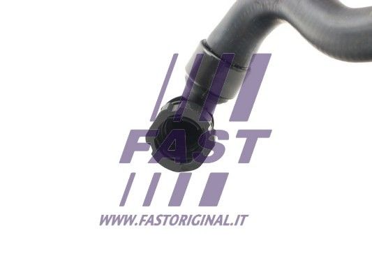FT61155_3_1.JPG