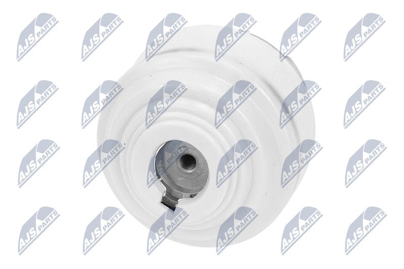 Paigutus, Mootor, NTY ZPS-ME-099