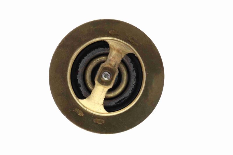 ACKOJA A37-99-0010 Thermostat, coolant