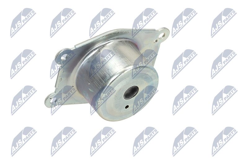 Paigutus, Mootor, NTY ZPS-PL-044