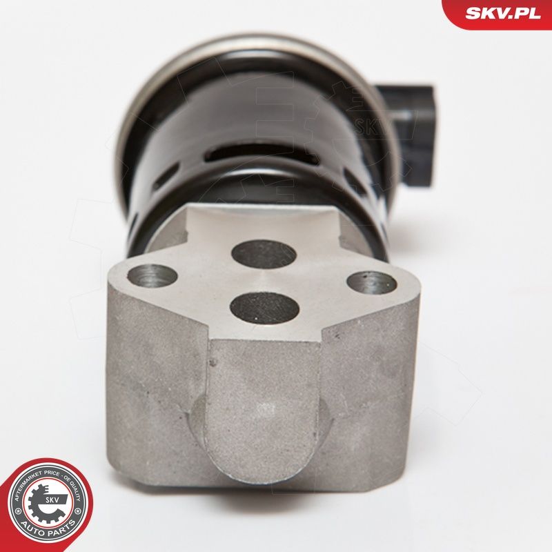 EGR-klapp, ESEN SKV 14SKV053