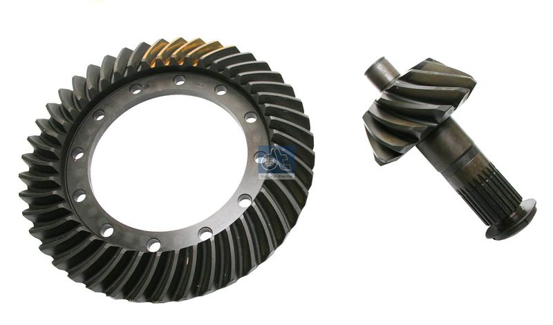 Taler -/ con pinion set 1.16504 DT Spare Parts