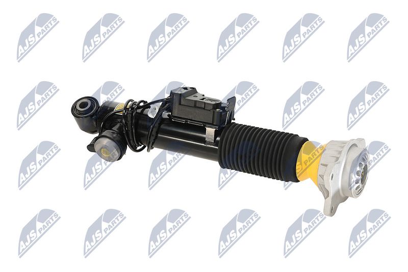 Amort, NTY A-BM-084