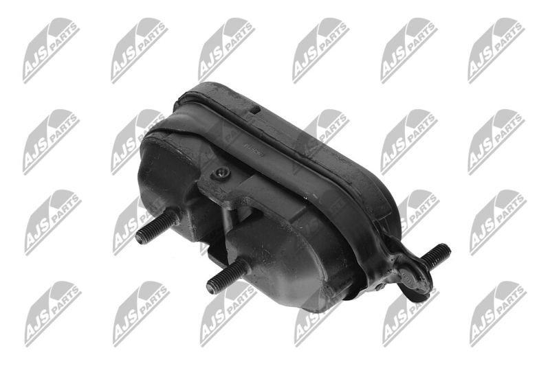 Paigutus, Mootor, NTY ZPS-CH-115