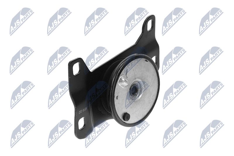 Paigutus, Mootor, NTY ZPS-FR-052