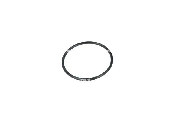 NRF 725289 Thermostat, coolant