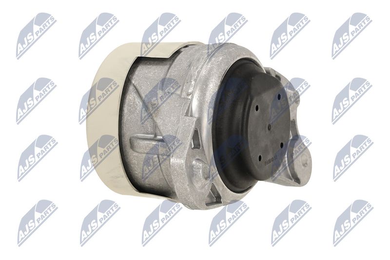 Paigutus, Mootor, NTY ZPS-ME-079