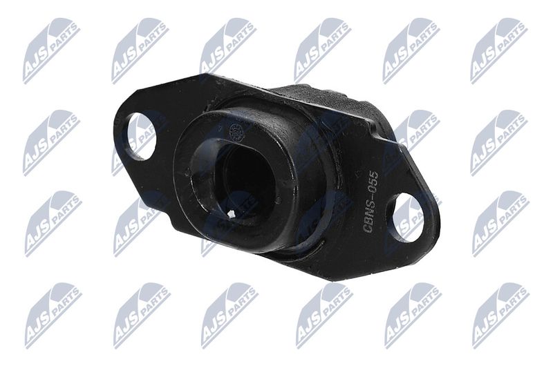Paigutus, Mootor, NTY ZPS-NS-080