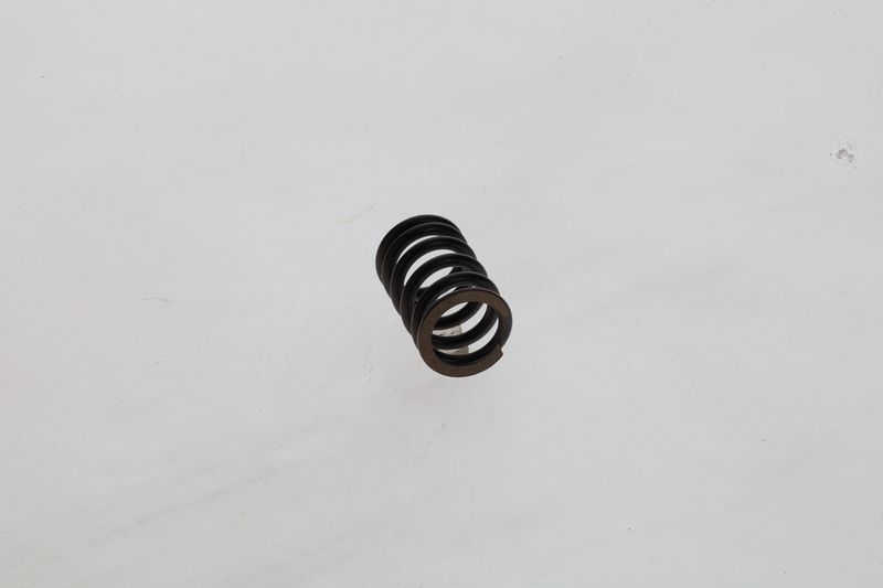 Arc 1 424 619 025 BOSCH