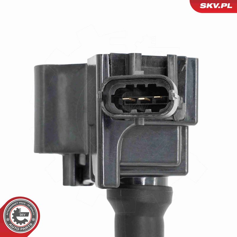 ESEN SKV 03SKV356 Ignition Coil