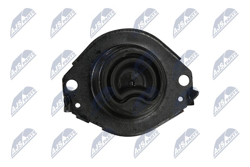 Paigutus, Mootor, NTY ZPS-CH-076