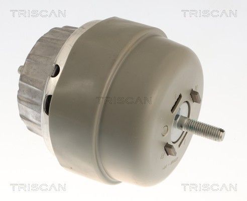 окачване, двигател TRISCAN