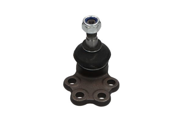 Kavo Parts Šarnyras / girgždukas