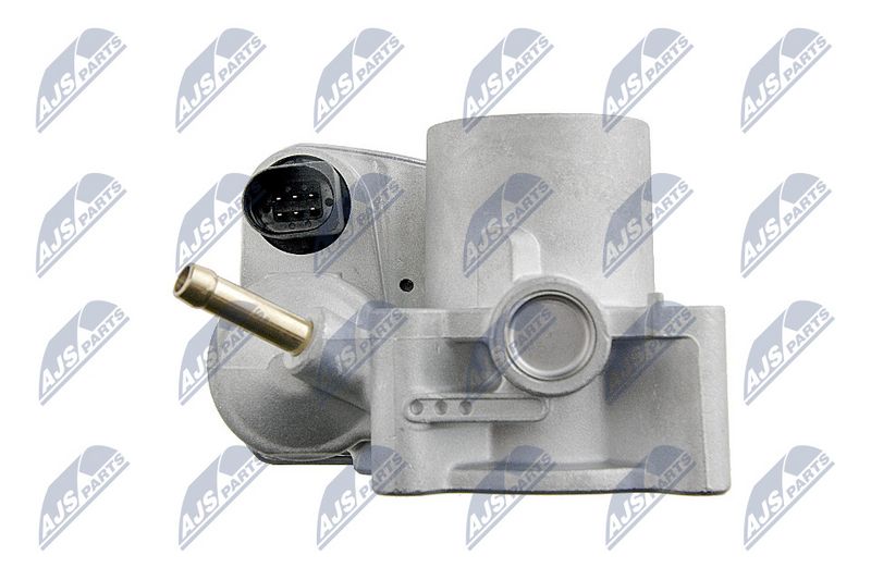 etb-vw-001_6-wm.JPG